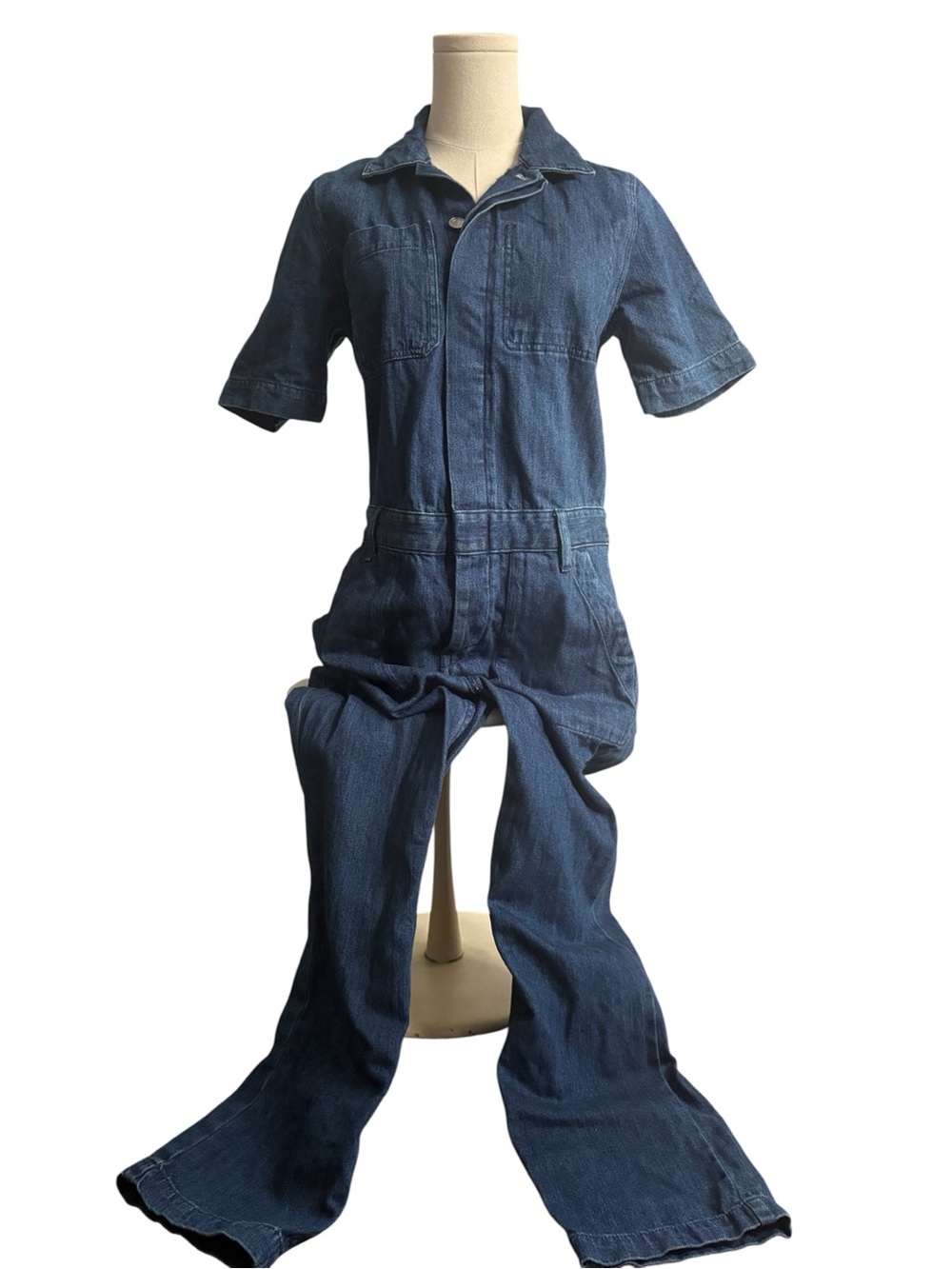Everlane Denim Button-Up Jumpsuit